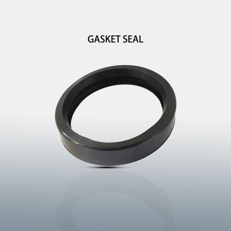 rubber gasket seal for clamps