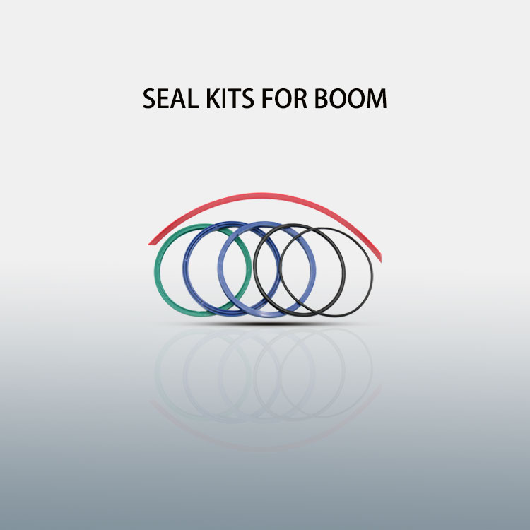 Seal ring kits for boom cylinder