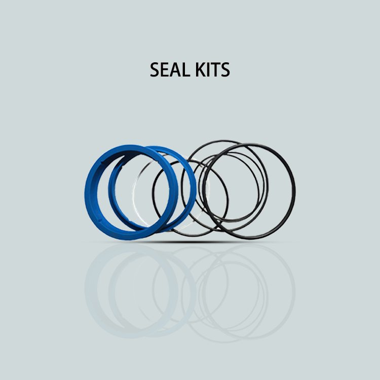 Concrete Pump Seal Kits
